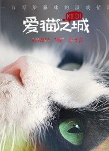 爱猫之城