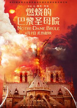 燃烧的巴黎圣母院 Notre-Dame brûle